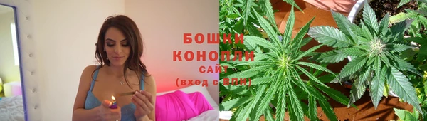 гидра Козельск